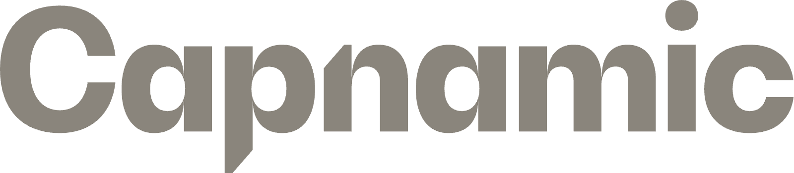 Partner: Capnamic